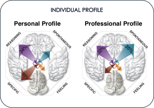 Contoh hasil MyBrain: Personal Profile dan Professional Profile berdampingan