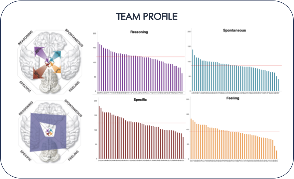 Contoh Team Profile MyBrain: profil tim di atas otak dan grafik sebaran skor Reasoning, Spontaneous, Specific, dan Feeling